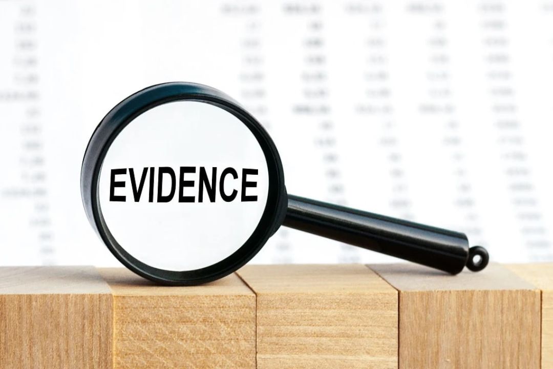 Request for Evidence (RFE)