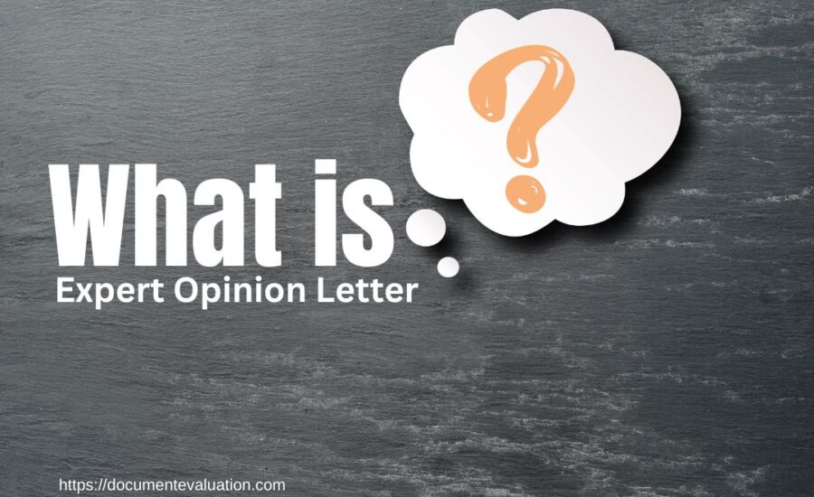 Understanding Expert Opinion Letters | Document Evaluation