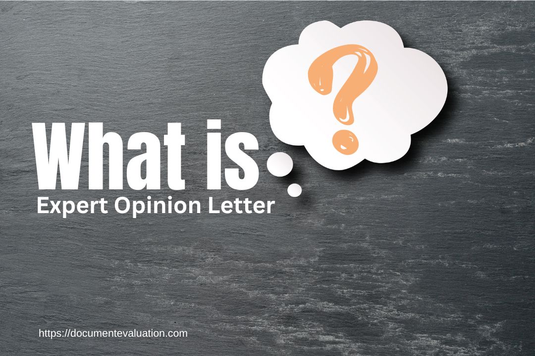 Expert Opinion Letters: Understanding Their Importance and Types