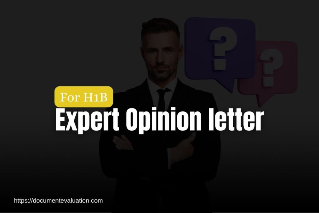H1B Expert Opinion Letter