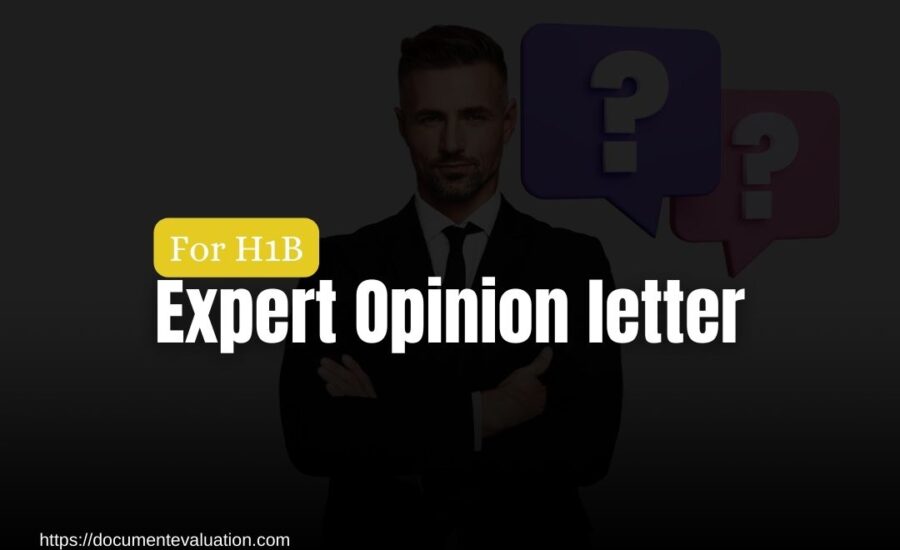 Understanding the Importance of H1B Expert Opinion Letters