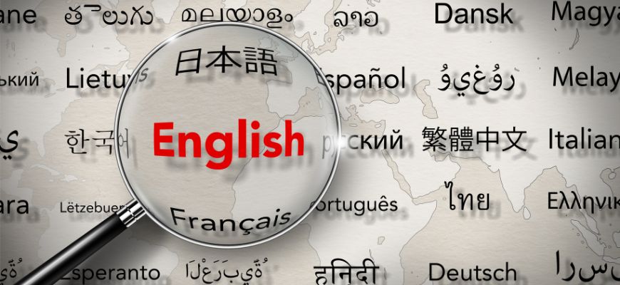 document translation services