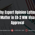 Why Expert Opinion Letters Matter in EB-2 NIW Visa Approval