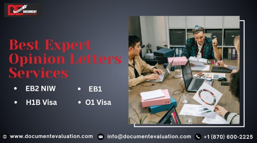 Best Expert Opinion Letter Services for EB-2 NIW and O-1 Visa in the USA