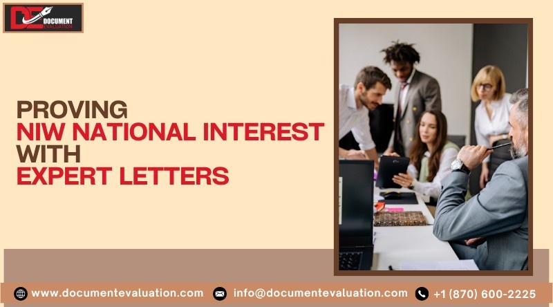 expert opinion letters NIW showing national interest evaluation and US immigration process