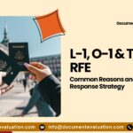 L-1, O-1, TN visa RFE response process showing USCIS review and documentation strategy