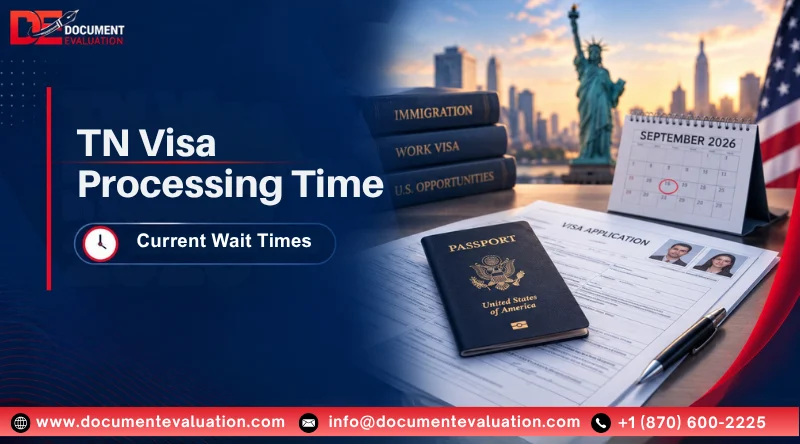 TN Visa Processing Time in October 2026: Current Wait Times
